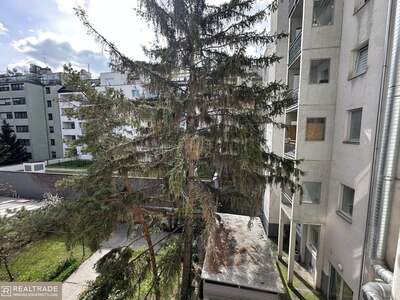 Altbauwohnung kaufen in 1100 Wien (Bild 3)