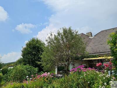 Haus mit Garten kaufen in 4020 Linz (Bild 4)