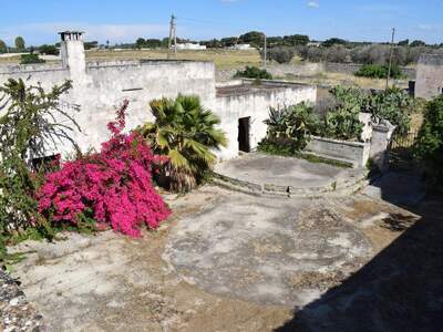 Haus mit Garten kaufen in 73010 Porto Cesareo (Bild 5)