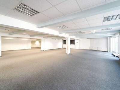Gewerbeobjekt mieten in 1020 Wien (Bild 3)