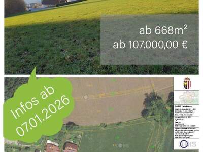 Grundstück kaufen in 4542 Nußbach