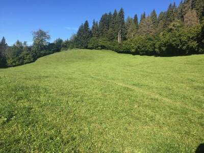 Gewerbeobjekt kaufen in 8756 Sankt Georgen