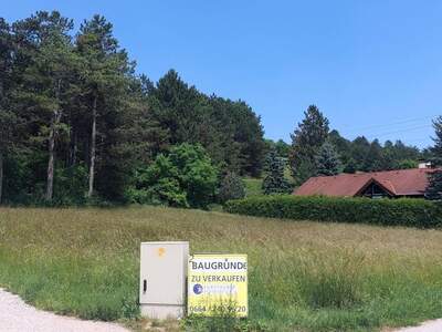 Grundstück kaufen in 2560 Berndorf