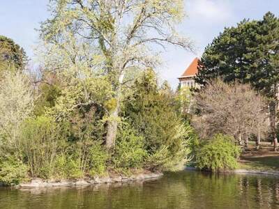 Anlageobjekt kaufen in 1190 Wien