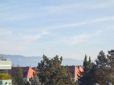 Wohnung kaufen in 9500 Villach (Bild 4)