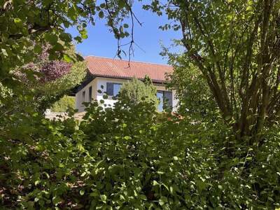 Haus kaufen in 4211 Alberndorf