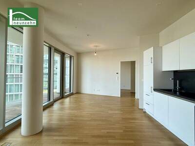Terrassenwohnung mieten in 1100 Wien (Bild 2)