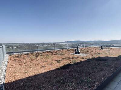 Anlageobjekt mieten in 3500 Krems