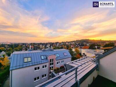Terrassenwohnung mieten in 1160 Wien (Bild 1)
