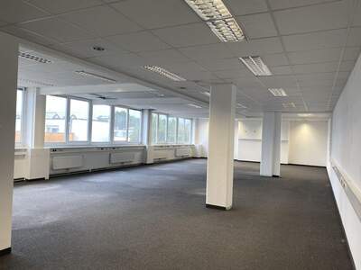 Gewerbeobjekt mieten in 5020 Salzburg (Bild 2)