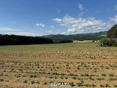 Grundstück kaufen in 9431 St. Marein