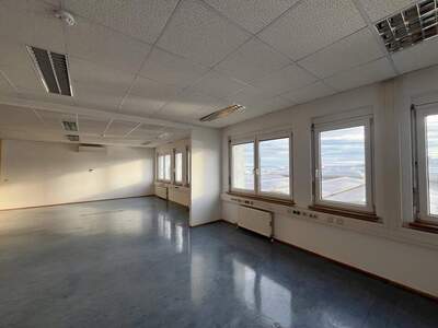 Gewerbeobjekt mieten in 2351 Wiener Neudorf
