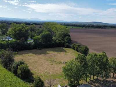 Grundstück kaufen in 7011 Siegendorf