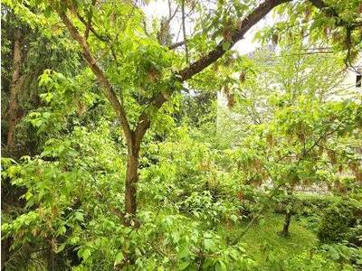 Wohnung kaufen in 1130 Wien (Bild 4)