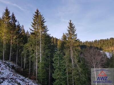 Gewerbeobjekt kaufen in 3610 Bezirk Krems