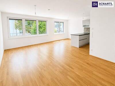 Terrassenwohnung kaufen in 1050 Wien (Bild 2)
