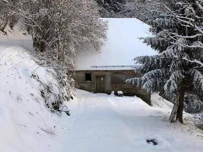 Gewerbeobjekt provisionsfrei mieten in 9433 Schönweg