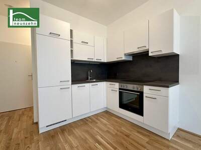 Terrassenwohnung mieten in 1220 Wien (Bild 4)