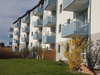 Wohnung mieten in 3812 Groß