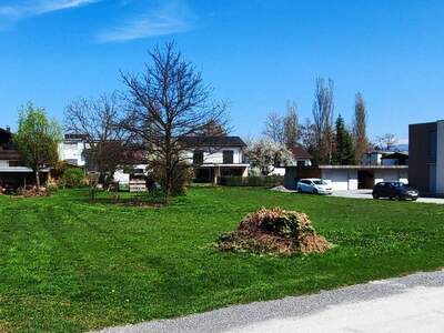 Haus mit Garten kaufen in 6890 Lustenau (Bild 2)