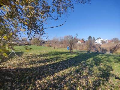 Haus kaufen in 1220 Wien