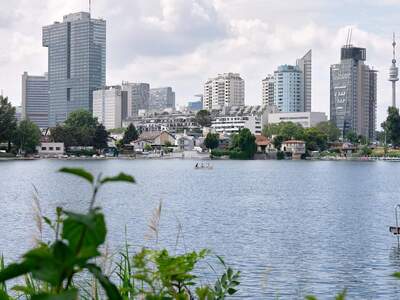 Mehrfamilienhaus kaufen in 1220 Wien (Bild 1)