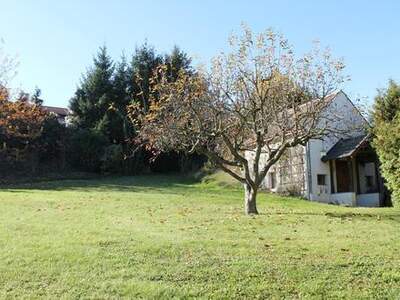 Grundstück kaufen in 2115 Ernstbrunn