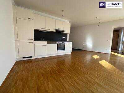 Terrassenwohnung mieten in 8020 Graz (Bild 2)