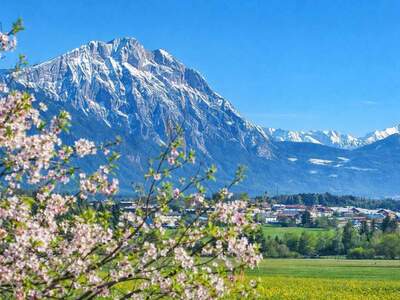 Grundstück kaufen in 6414 Obermieming