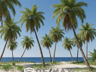 Gewerbeobjekt kaufen in 2055 Morrocoy (Bild 3)