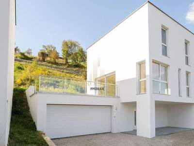 Haus mit Garten kaufen in 4523 Neuzeug (Bild 2)