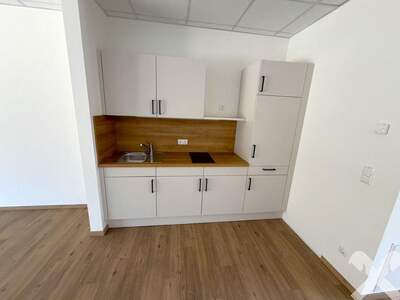 Gewerbeobjekt mieten in 8501 Lieboch (Bild 4)