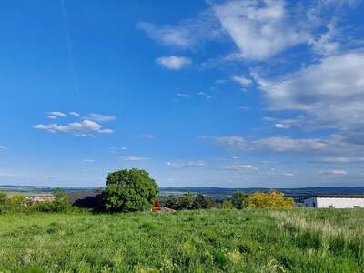 Grundstück kaufen in 7000 Eisenstadt (Bild 2)
