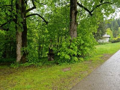 Grundstück kaufen in 8635 Gollrad (Bild 4)