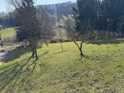 Haus mit Garten mieten in 8472 Spielfeld (Bild 5)