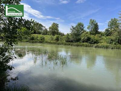 Terrassenwohnung kaufen in 1210 Wien (Bild 4)