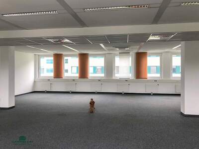 Gewerbeobjekt mieten in 5020 Salzburg