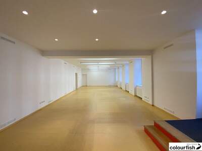 Gewerbeobjekt mieten in 1030 Wien (Bild 2)