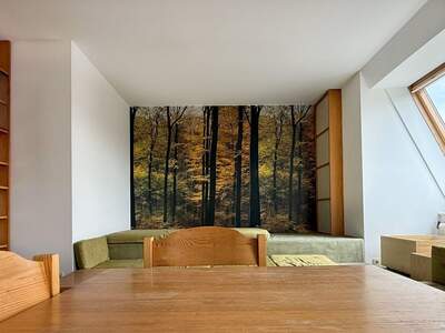 Apartment provisionsfrei mieten in 1130 Wien