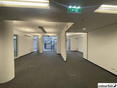 Gewerbeobjekt mieten in 1030 Wien (Bild 3)