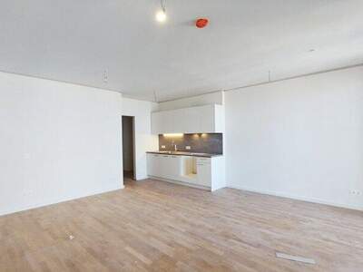 Terrassenwohnung mieten in 1220 Wien (Bild 1)