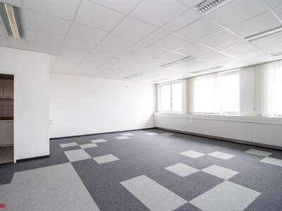 Gewerbeobjekt mieten in 4600 Thalheim (Bild 1)