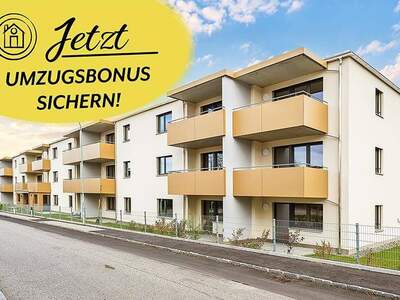 Wohnung mieten in 3950 Gmünd