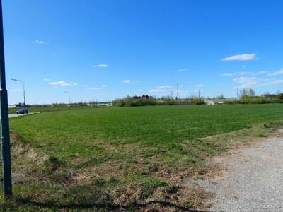 Grundstück kaufen in 2474 Gattendorf