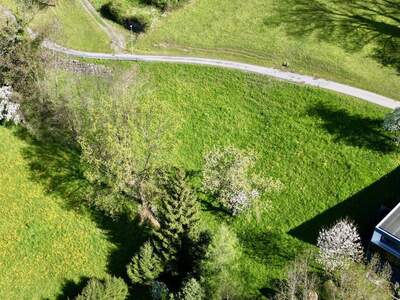 Grundstück kaufen in 6833 Klaus