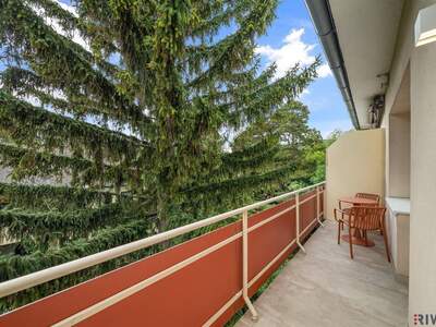 Wohnung kaufen in 2500 Baden
