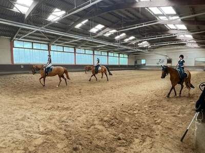 Gewerbeobjekt kaufen in 6973 Höchst