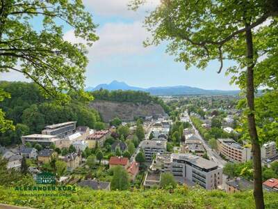 Wohnung kaufen in 5020 Salzburg