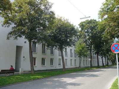 Terrassenwohnung mieten in 8020 Graz (Bild 2)