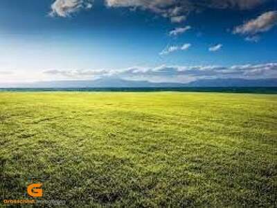 Grundstück mieten in 5202 Neumarkt